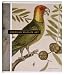 American Wildlife Art