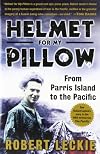 Helmet for My Pillow
