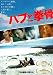 ハブと拳骨 [DVD]
