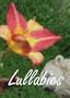 Lullabies
