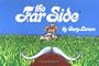 The Far Side �