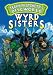 Terry Pratchett - Discworld: Wyrd Systers