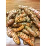 Turmeric Root - Whole Raw Organic Root - 1 Lb. Lots - Top Grade