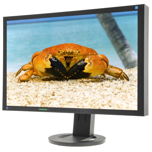Eizo Flexscan S2433 24.1 Ratio Black
