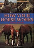 How Your Horse Works