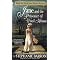 Barron's Jane Austen mystery series, in order