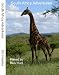 South Africa Adventures