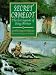 Book Secret Camelot: The Lost Legends of King Arthur
