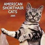 American Shorthair Cats 2005 Wall Calendar
