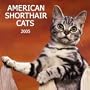 American Shorthair Cats 2005 Wall Calendar