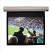 Vutec 01-LI065-116GDS GreyDove SoundScreen Lectric I Mechanical Screen - 133 diagonal HDTV Format