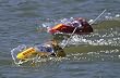 REEF RACER 2 RTR BOAT ORG A6 AQUB14**