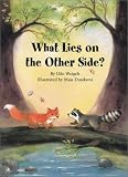 What Lies on the Other Side?