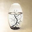 EcoSphere Pod - 5.25"