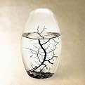 EcoSphere Pod - 5.25"