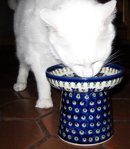 Polish Pottery Raised Food Dish or Water Bowl - Country Flower