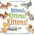 Kittens! Kittens! Kittens!