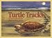 Turtle Tracks