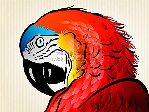 PAINTING ILLUSTRATION CARTOON MACAW PARROT BIRD PICTURE ART PRINT POSTER MP5195A