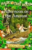 Afternoon on the Amazon