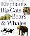 The Encyclopedia of Big Cats, Bears, Whales, & Elephants