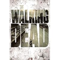 The Walking Dead Streets TV Poster Print