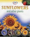 Sunflowers and other plants