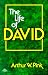 Book Life of David (Two Volumes in One)