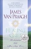 Healing Grief
 Reclaiming Life After Any Loss (Random House Large Print (Paper)),
James Van Praagh