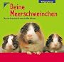 Deine Meerschweinchen: Was sie brauchen und was sie alles k�nnen