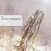 Anklicken zum Vergrößeren: Solitary Experiments - Cause & Effect (Audio CD)