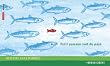 Petit poisson voit du pays