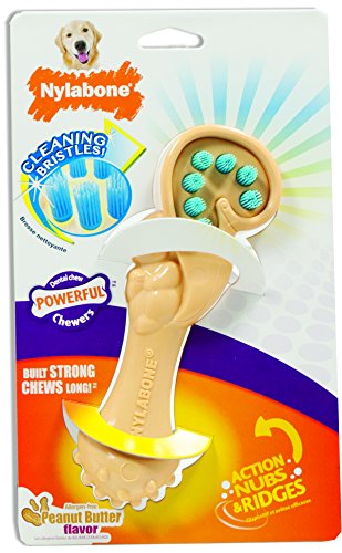 Nylabone Squirrel Bristle Brush Dental Dog Chew, Small