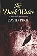 The Dark Water (Murder Rooms)