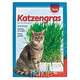 Trixie Katzengras Nachfüllbeutel ab 5 Stück Pflanzenschale a 100 g