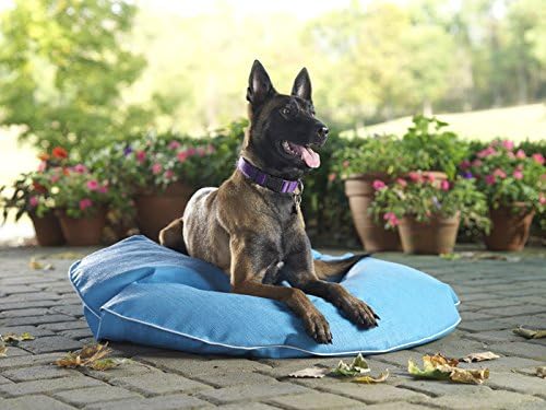 Pet Pool and Deck Lounger Pool Blue (MD 39")