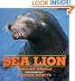 Sea Lion
