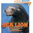 Sea Lion