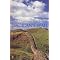 Historical Archaeology Undergrads: essential books