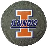 Illinois Fighting Illini NCAA Stepping Stone (13.5)