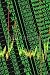 Wallmonkeys Peel and Stick Wall Decals - Symbol for Shares and Stock Exchange - Removable Graphic