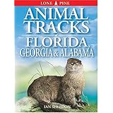 animal tracks of florida georgia and alabama animal tracks guides