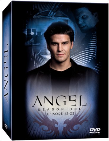 Angel - Jäger der Finsternis: Season 1.2 Collection (Episoden 12-22) [Box Set]