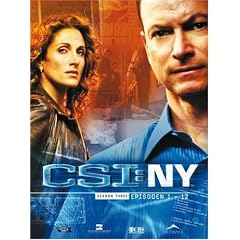 CSI: NY - Season 3.1 (3 DVDs)