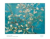 Almond Blossom by Vincent van Gogh. Art Print Poster 27.5 inches width by 21.5 inches height. Highest Quality Art Poster Print
