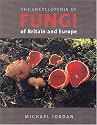 Encyclopedia of Fungi: of Britain and Europe
