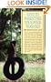 Parenting Your Four-Year-Old (Barron's Parenting Keys)