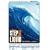 �X�e�b�v�E�C���g�D�E���L�b�h [DVD]