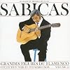 Great Masters of Flamenco, Vol. 14