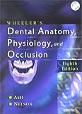 Wheelers Dental Anatomy, Physiology and Occlusion